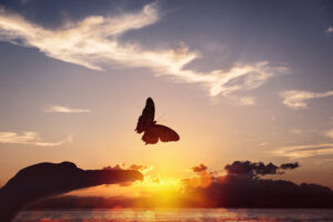 Alesa coaching - spiritualiteit en transformatie